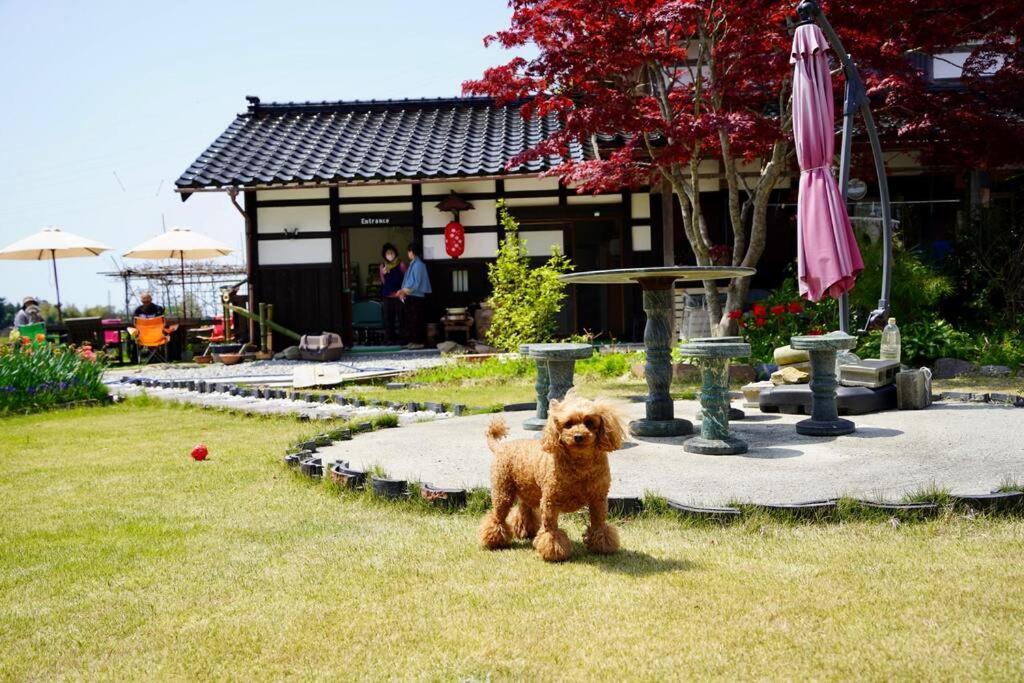 Villa ガーデンハウス道楽亭 Sado Exterior foto